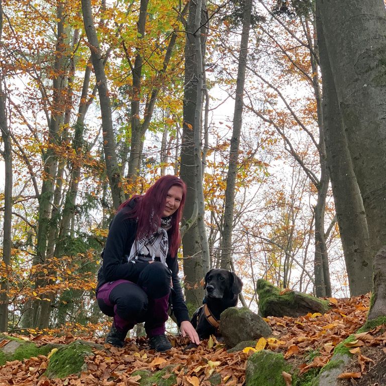 Social Walk Hundeschule Oberviechtach Stamsried