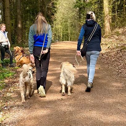 Social Walk Taubenwiesbachtal
