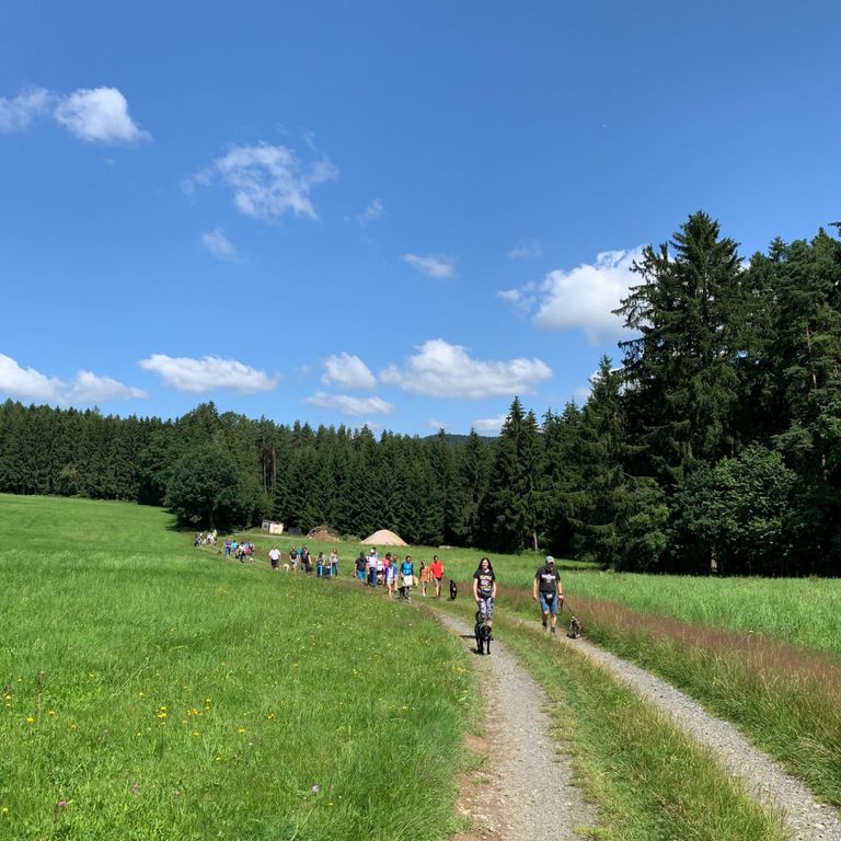 Hundewanderung in der Gruppe, Sozialisierungsspaziergang