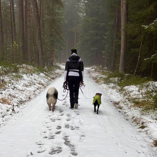 Social Walk Hundeschule 