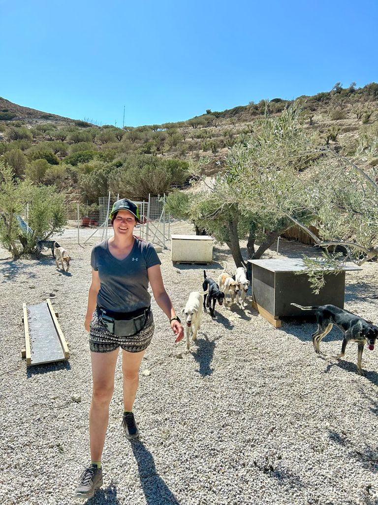 Tierschutzarbeit in Kreta