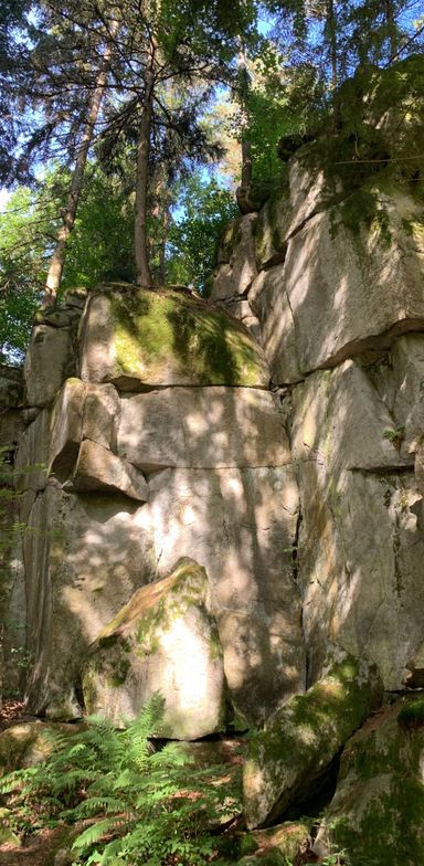 Wanderung zu Felsen, Natur mit Hunde erleben