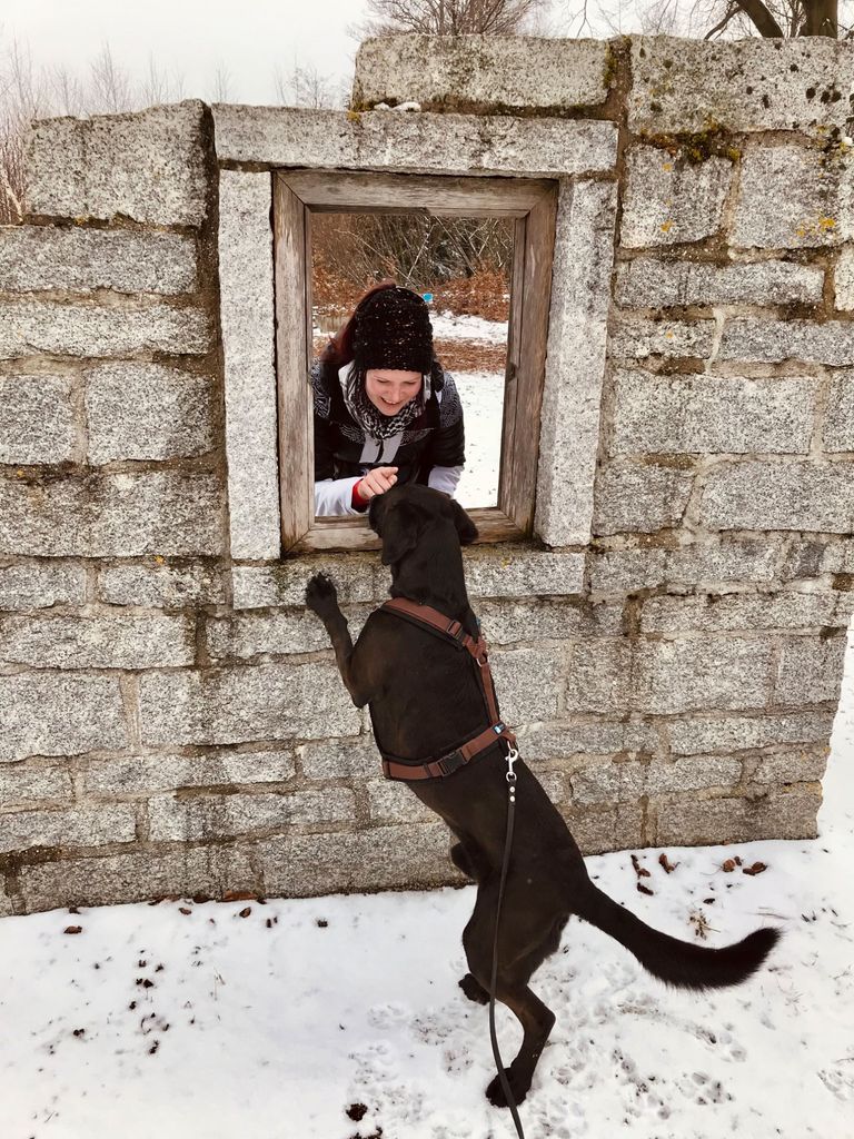 Naturwanderung mit Hundegruppe, Social walk im Winter, Sozialisierungsspaziergang in Hundegruppe