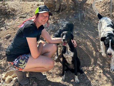 Takis Shelter Hundeareal