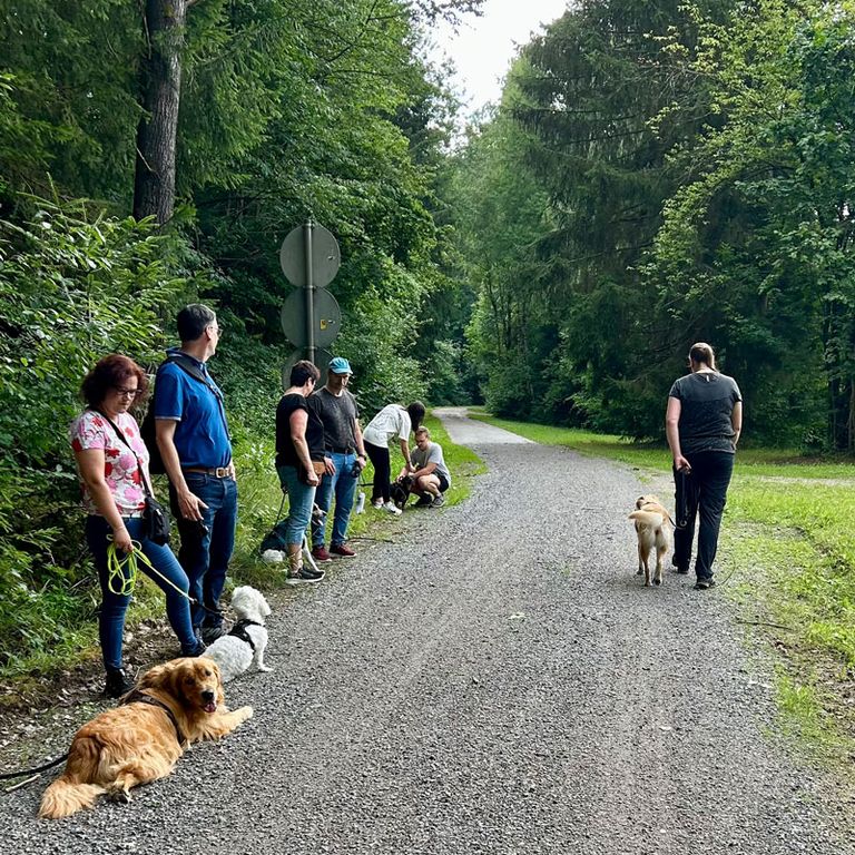 Social Walk Hundeschule 