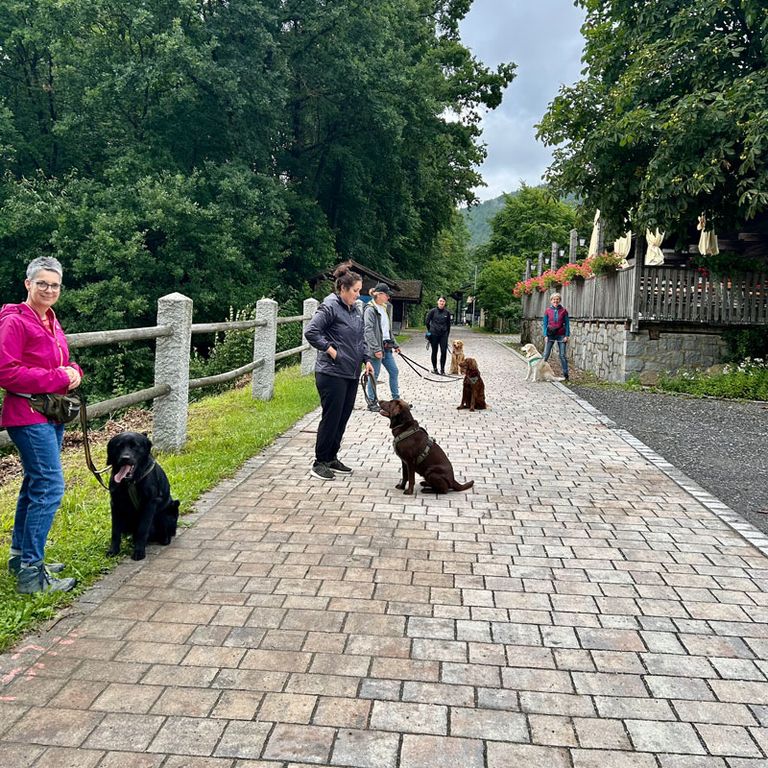 Social Walk Hundeschule 