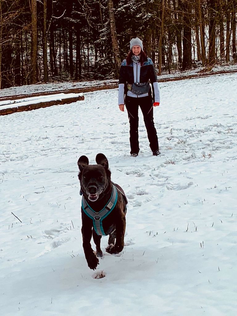 Freilauf, Abruf, Trainingseinheit, Hundetrainer, Hundetraining im wahren Leben