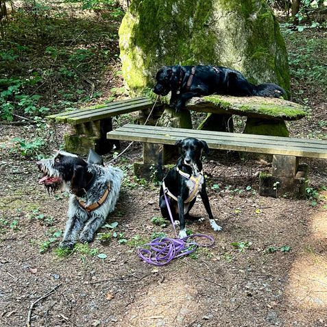 Kleingruppentraining