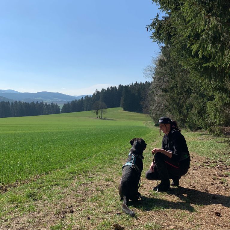 Hundeerlebniswanderung Prackenbach Hundeschule 