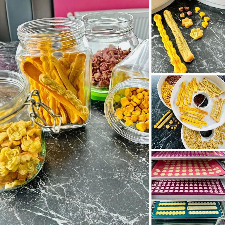 Hundekekse backen Kurs