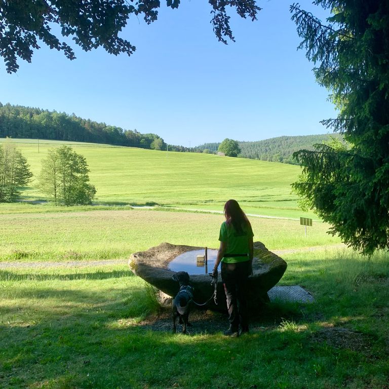 Welpen und Junhunde Kurs
