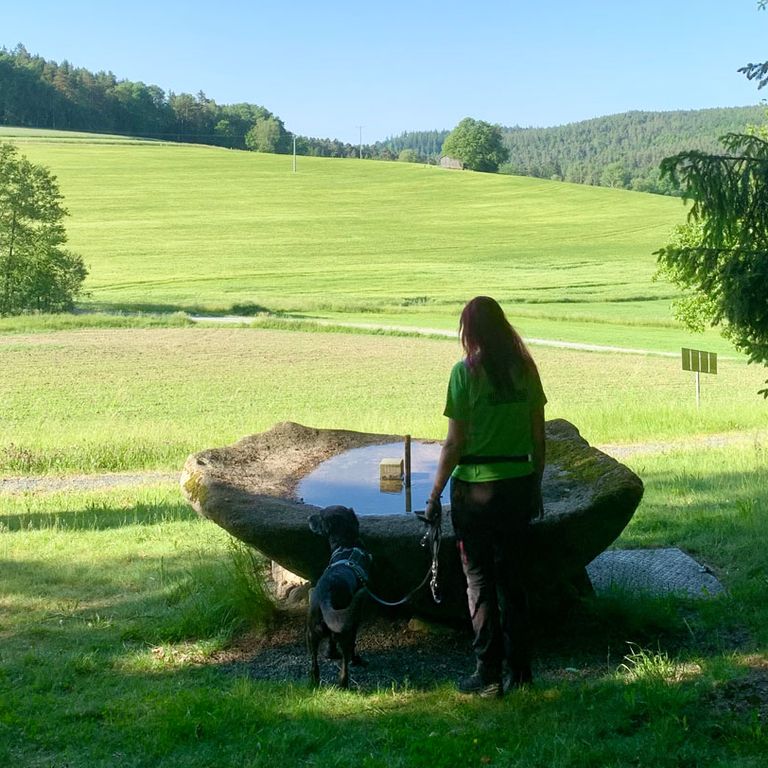 Welpen und Junghunde Woidhund Hundeschule 