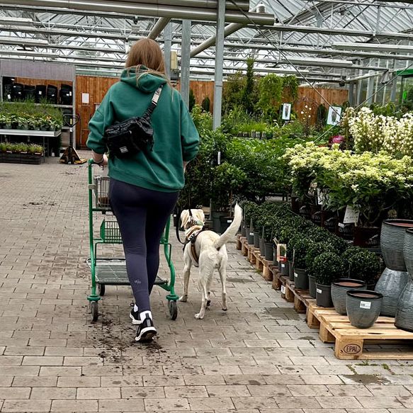 Hundeschule Gartenmarktrallye